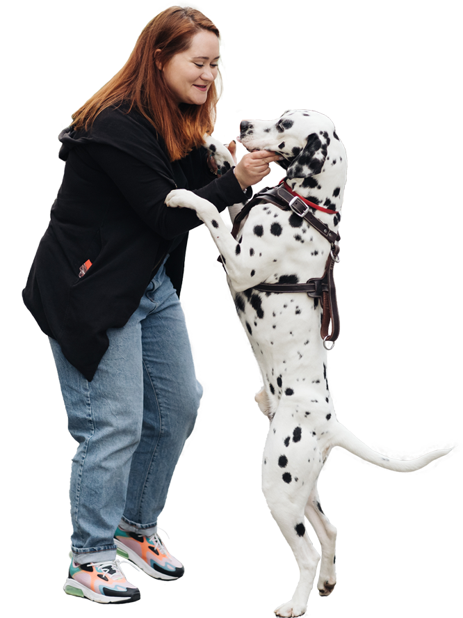 woman-discussing-and-training-her-dalmatian-pet-in-LE86V5Ha.png